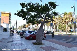 705- Torremolinos 